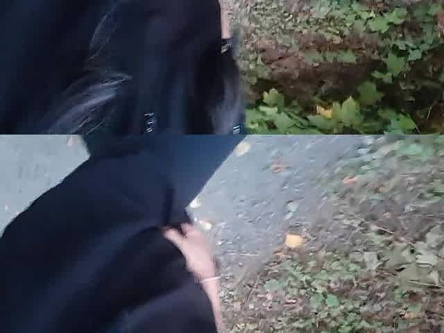 Pee Desperation In Public