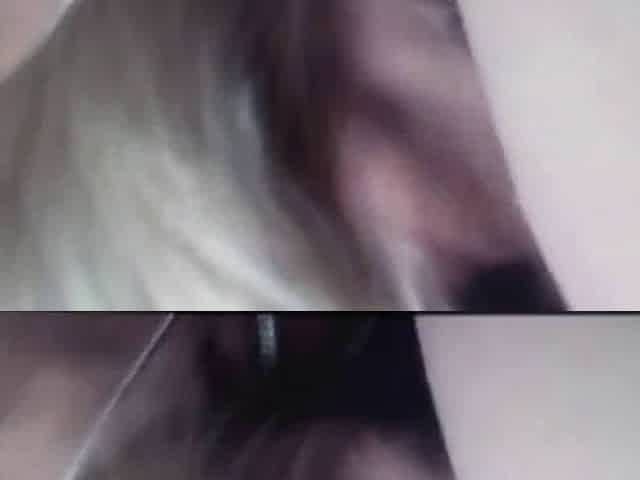 Mommys Dirty Talk und Blowjob