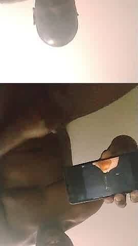 Orgasming to some solo ebony videos and testing my new phone to see if it works properly 3