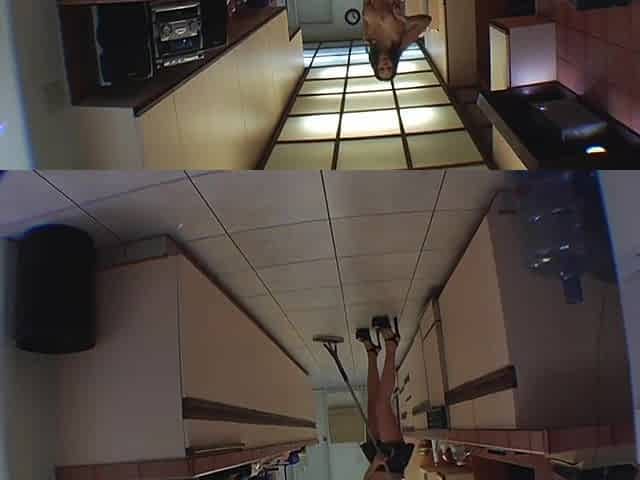 Gianna Michaels busty babe rare porn
