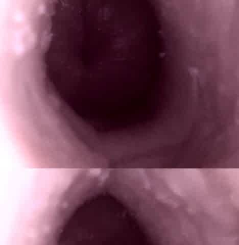 Anonymous Doll Creampie: Just the inner web camera.