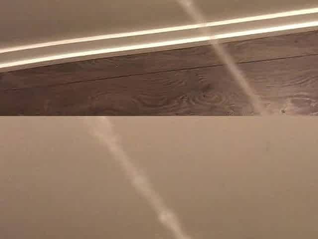 Vigour Pissing All Over My Hallway Walls and Floor