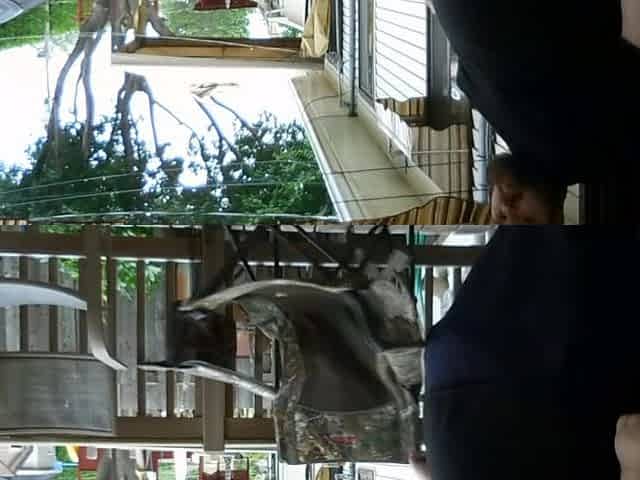Plump dudes sitting outside pleased