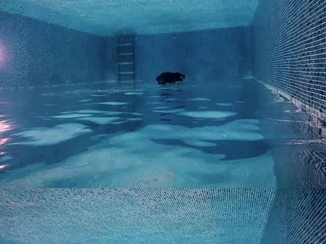 Underwater Giantess Hunts & Claims Her Tiny Prey