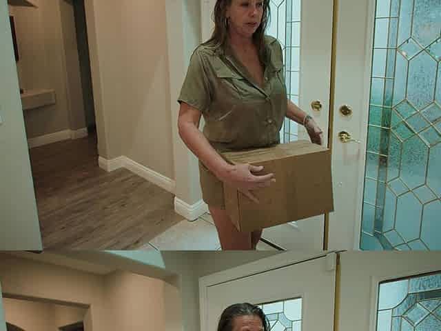 The Wet Box