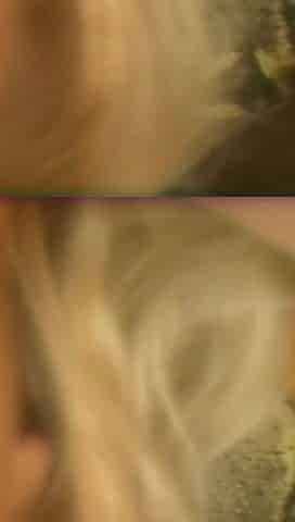 Orgasmic Lesbian Nightmares