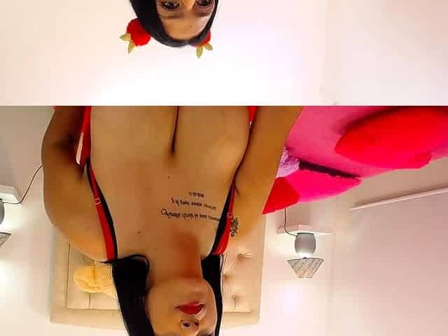 Big boob brunette masturbates on webcam