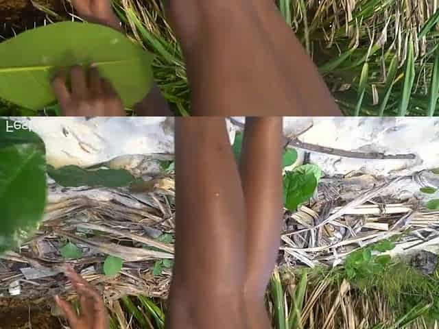 Slender Afro tribe beauty cooking medecin for her grandmother nude in forrest