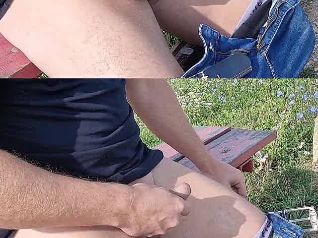 public masturbation a stranger comes up and sucks my penis