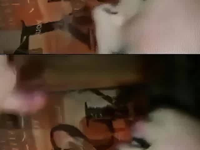 That babe Told They Could One as well as the other Cum In Her Throat