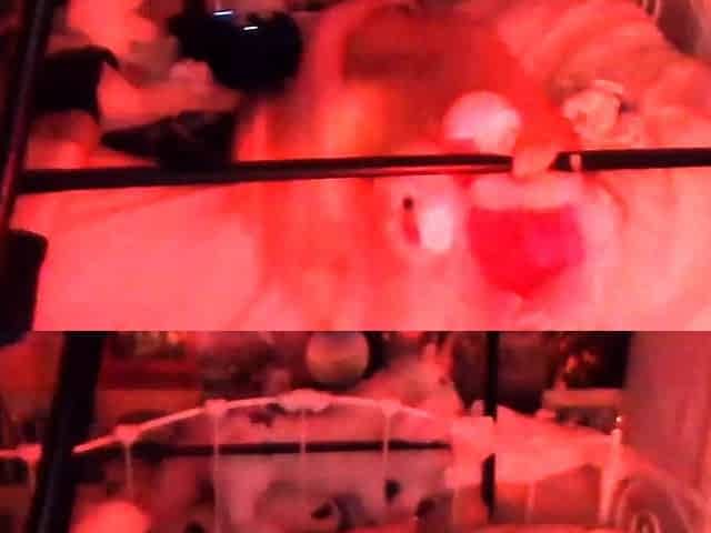 Amateur Hidden Cam