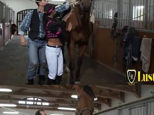 Awesome whore bangs stable hunk