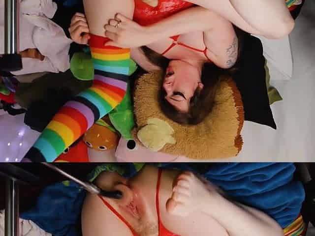 Rainbow Nylons, Slavery Harness, Yep SIR collar, and Bang Machine