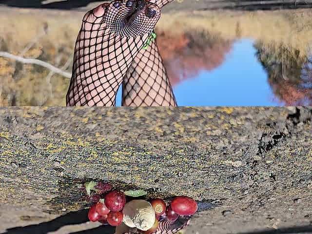 Punk cutie crushing fruit in fishnet clad feet