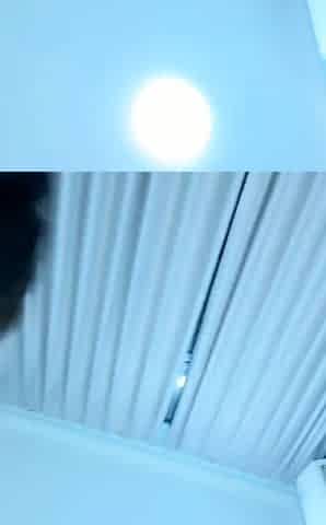 Japanese teen hardcore masturbating at Asian chatroom