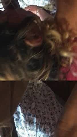 Beautiful MILF Cheats on Her Husband