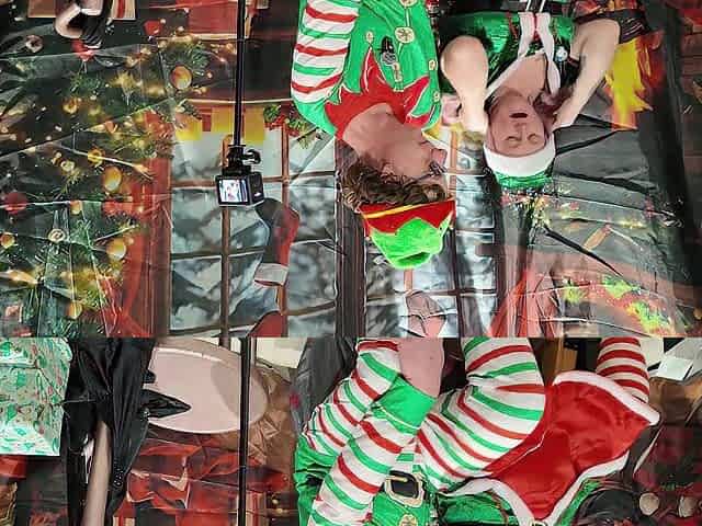 Day 11 Elves on the dildo shelf