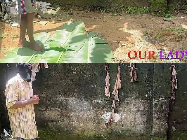 BLACK CHOCOLATE BROWNSKIN BLACK GOT FUCKED ON A PLANTAIN LEAVES