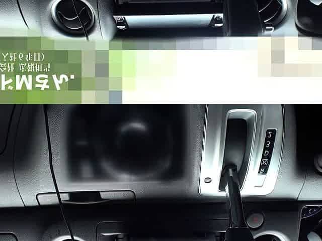 Asian japanese Hardcore amateur