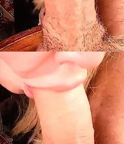 POV blowjob for big cock from blonde MILF