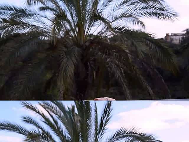 Outdoor solo masturbation scene with curly blonde