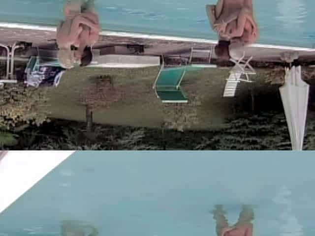 Foursome by the Pool