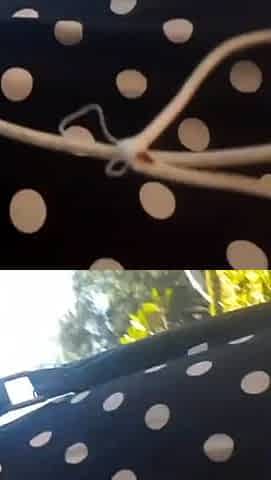 masturbating at the park