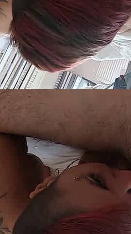 Wake up blowjob with cum swallow