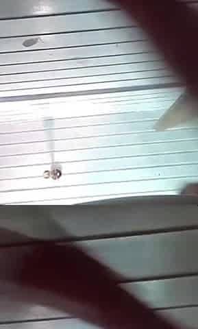 Anal Plug Fun