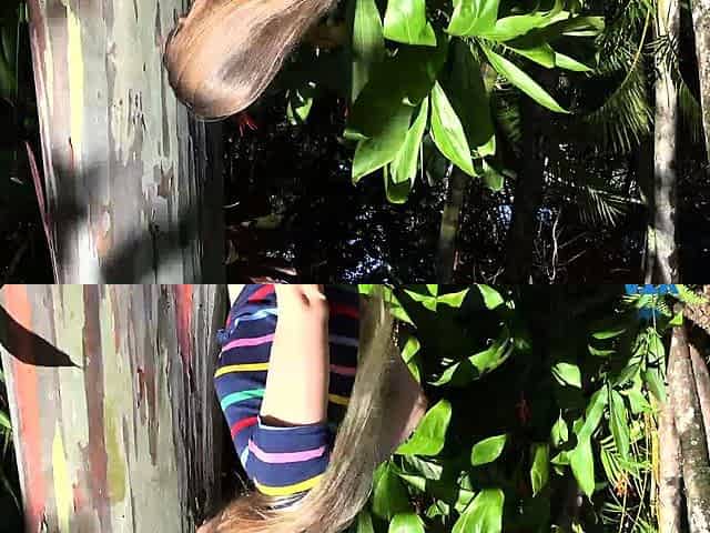 Amateur French Teen Outdoor softcore