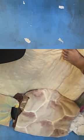 Fucking My Lover as a Birthday Gift in Jungle