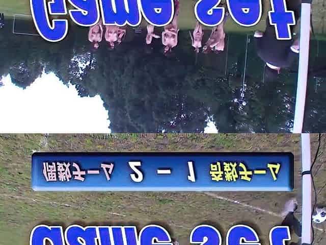Hot Japanese Girls Nudes Playing Soccer
