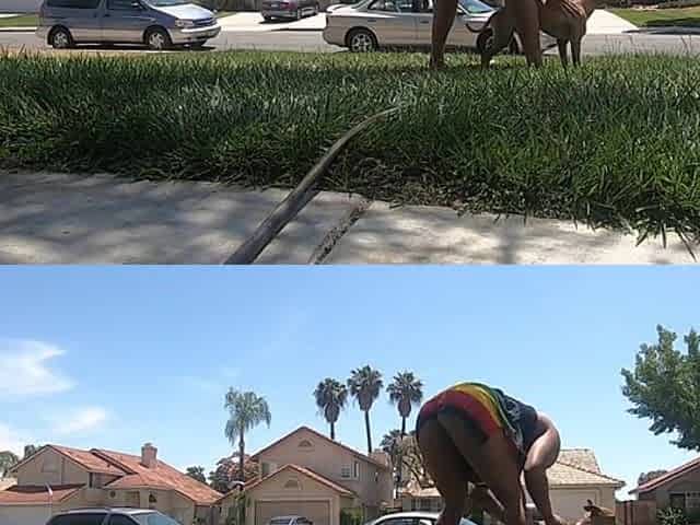 washing my puppy with my booty out