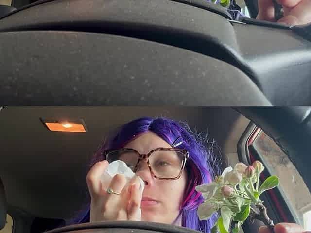 Sneezing From This Flower and It Gets Wild in Car
