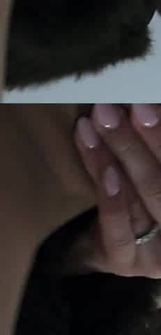 MILF Brown Pantyhose Masturbation in Fur