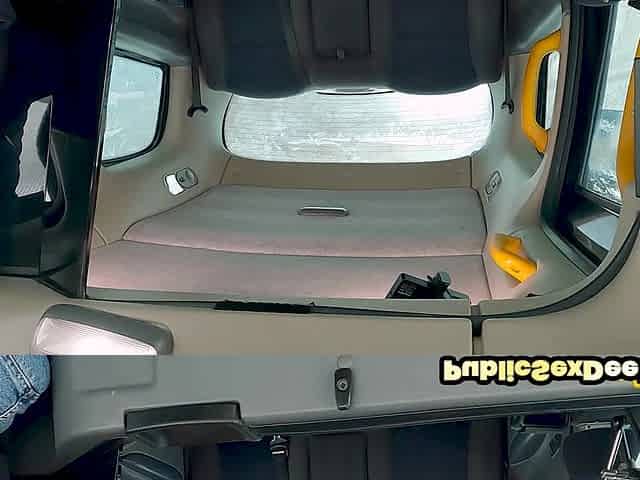 Cockhungry lingerie babe pussyfucked by driver