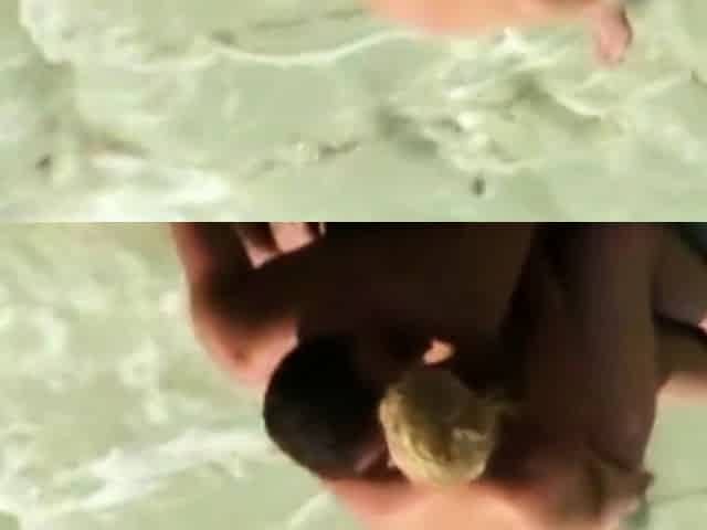 my in-laws caught on the beach (voyeur)