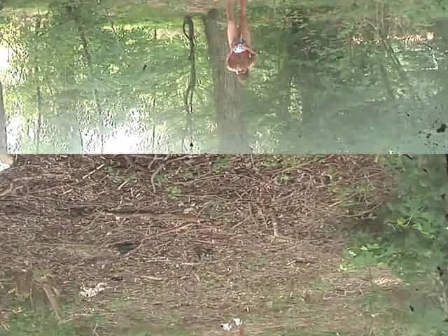 Youthful Floozy Anife Gets Lost In The Woods Then Drilled By 2 Strangers