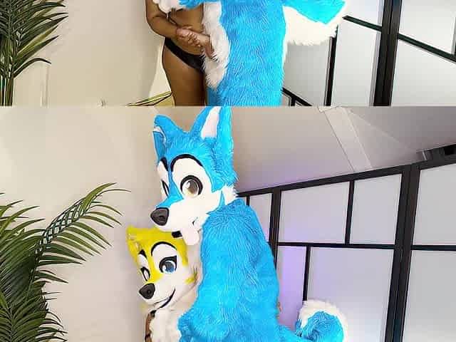 FURRIES IN HEAT MATING , CUM INSIDE