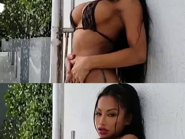 Leann amateur beautiful brunette with big boobs