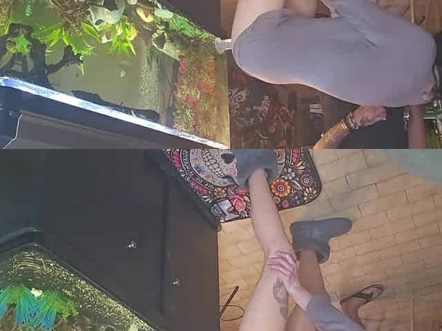 Hot Wife Dildo Fucking While Two Friends Cum on Her Dildo