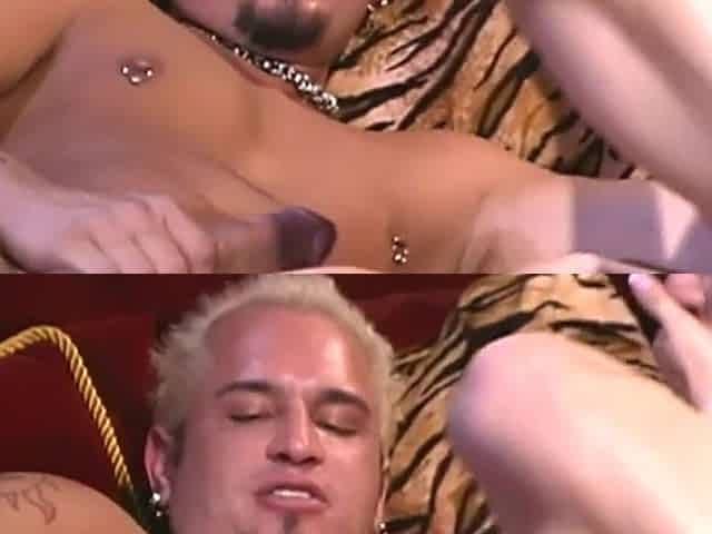 Holly Hollywood likes sexy dick and cum
