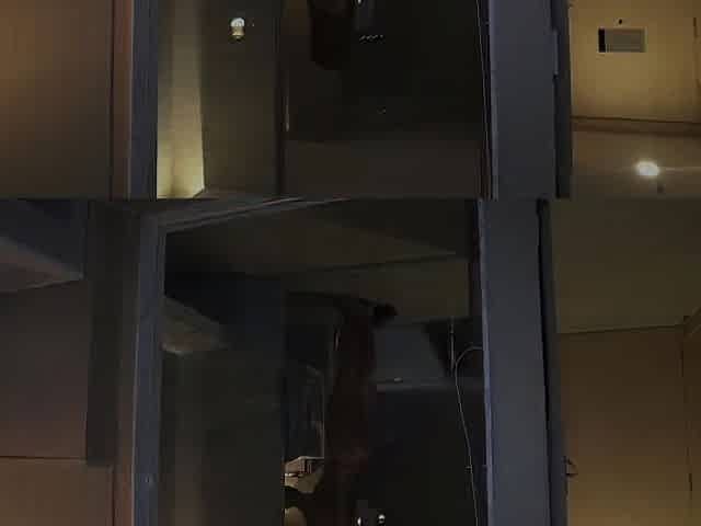 Screwed in Hotel Room by Hot Ebony Chap