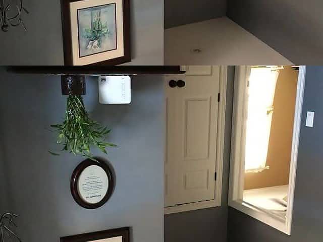 The View the Second Delivery Dude Saw