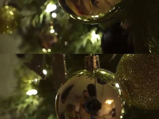 Cute Wife Snatch and Booty Glazed Beneath The Tree