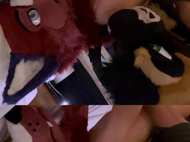 Amateur girlfriend hardcore