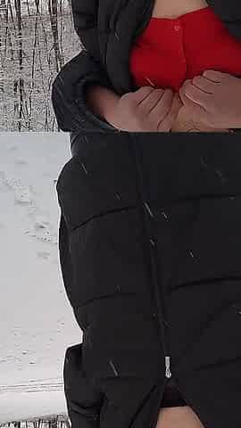 Walk in the Snow