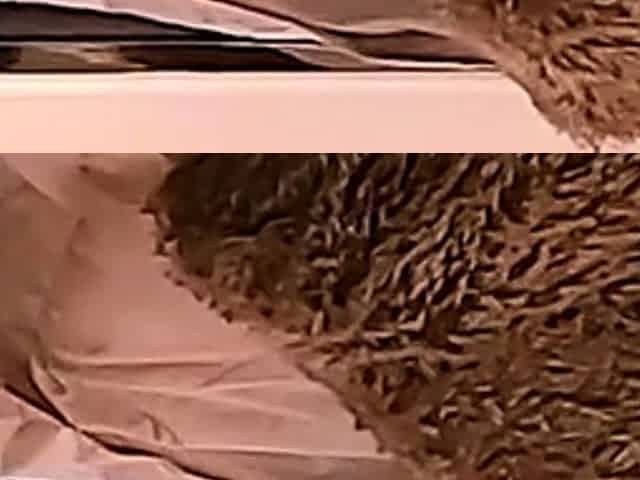Perfect Pussy Close up milf Selda