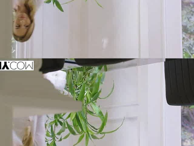 TUSHY Glamorous Naomi Swan Has Anal For The 1st Time!