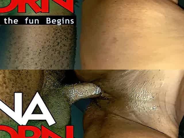 Black beauty creamy cunt was likewise consummate for his JOCK